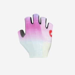 Multicolor Purple Men Castelli COMPETIZIONE 2 Gloves | 807594-AGR